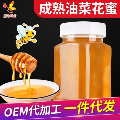 油菜花原蜜现货销售 批发瓶装成熟百花蜜 蜂蜜